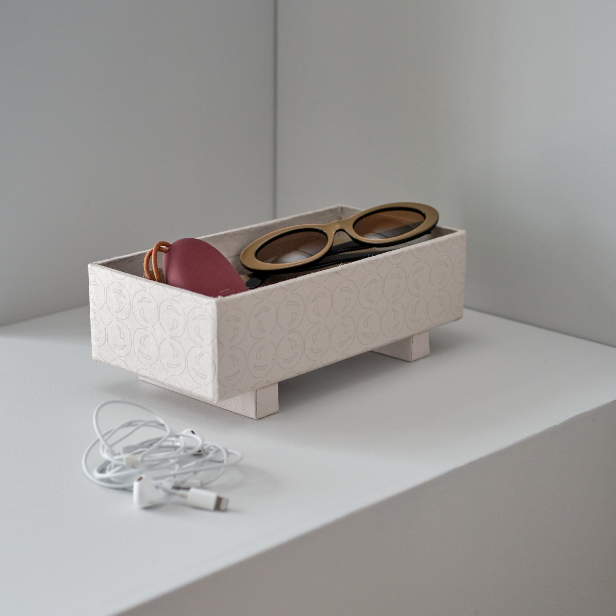 TRAY BOX SMALL TOTORU