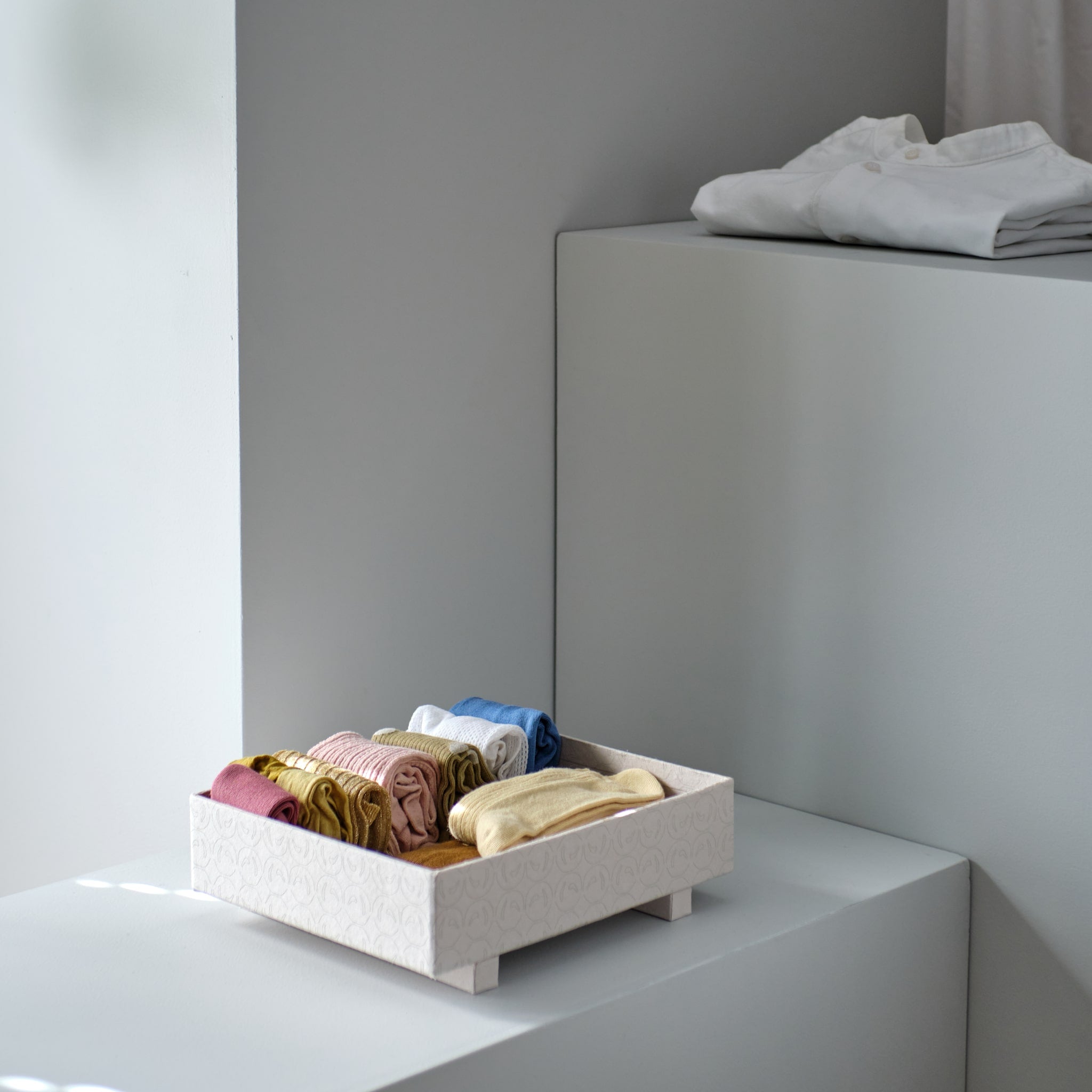 TRAY BOX MEDIUM TOTORU