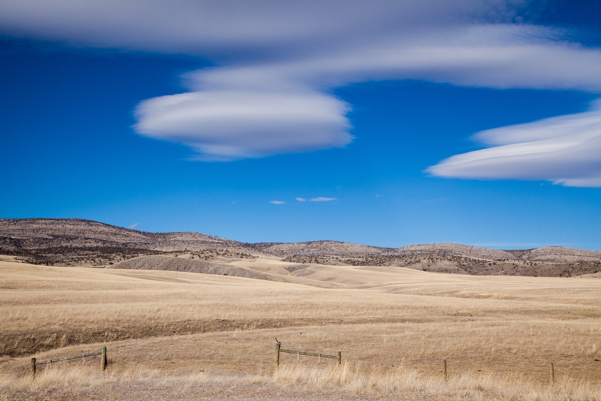 Landscape of a field against a blue sky with a few white clouds