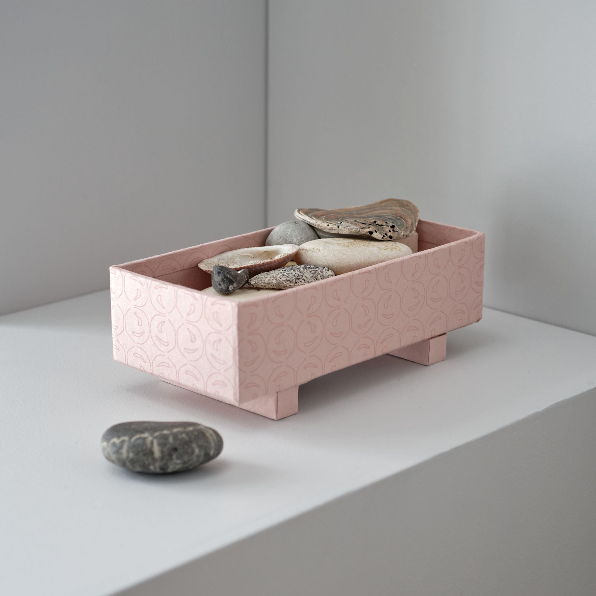 TRAY BOX SMALL TOTORU - 331 Pale rose