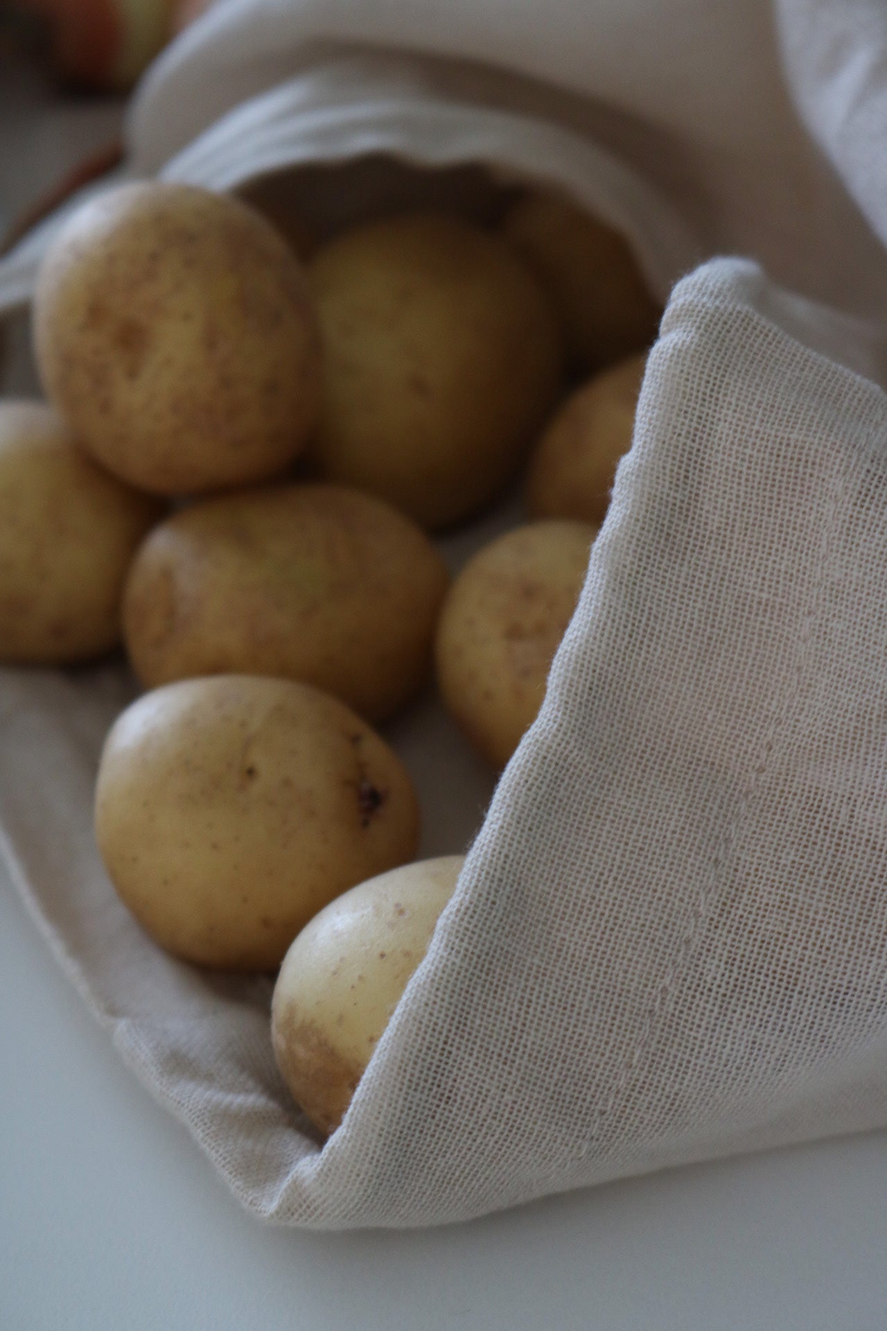 The Organic Company Food Bag - Small Gauze 202 Stone